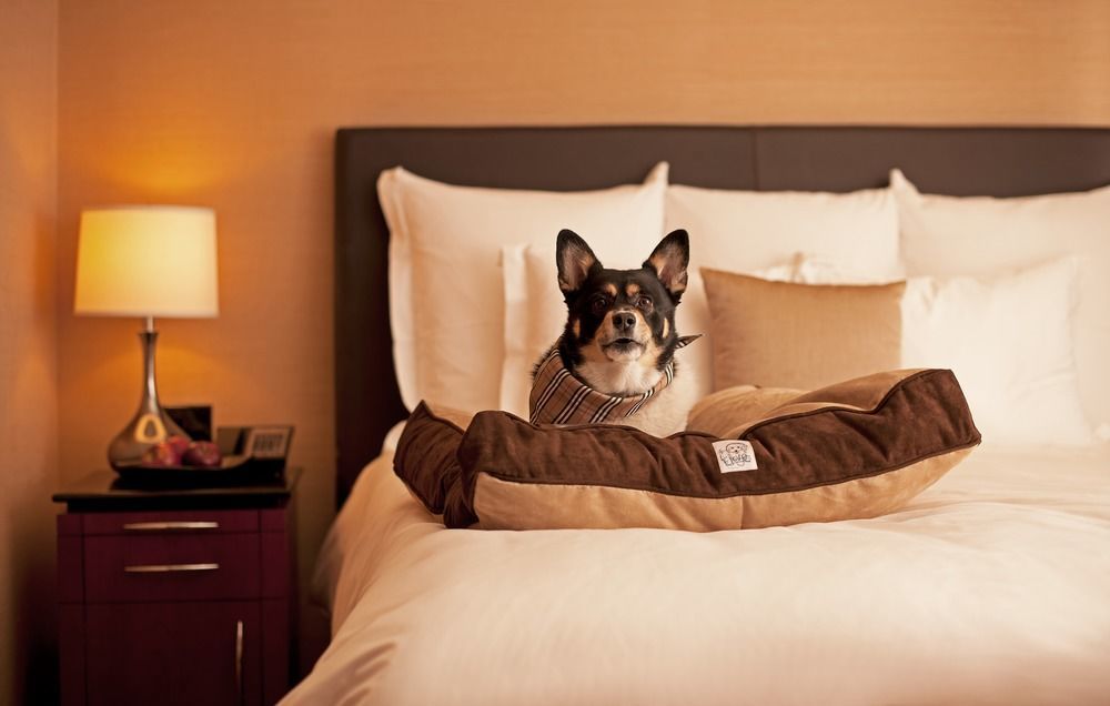 Hyatt Place Sterling Dulles Airport North エクステリア 写真